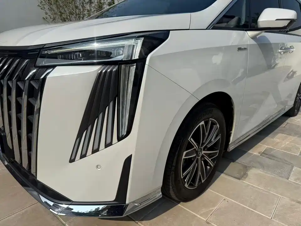 Trumpchi Trumpchi M8