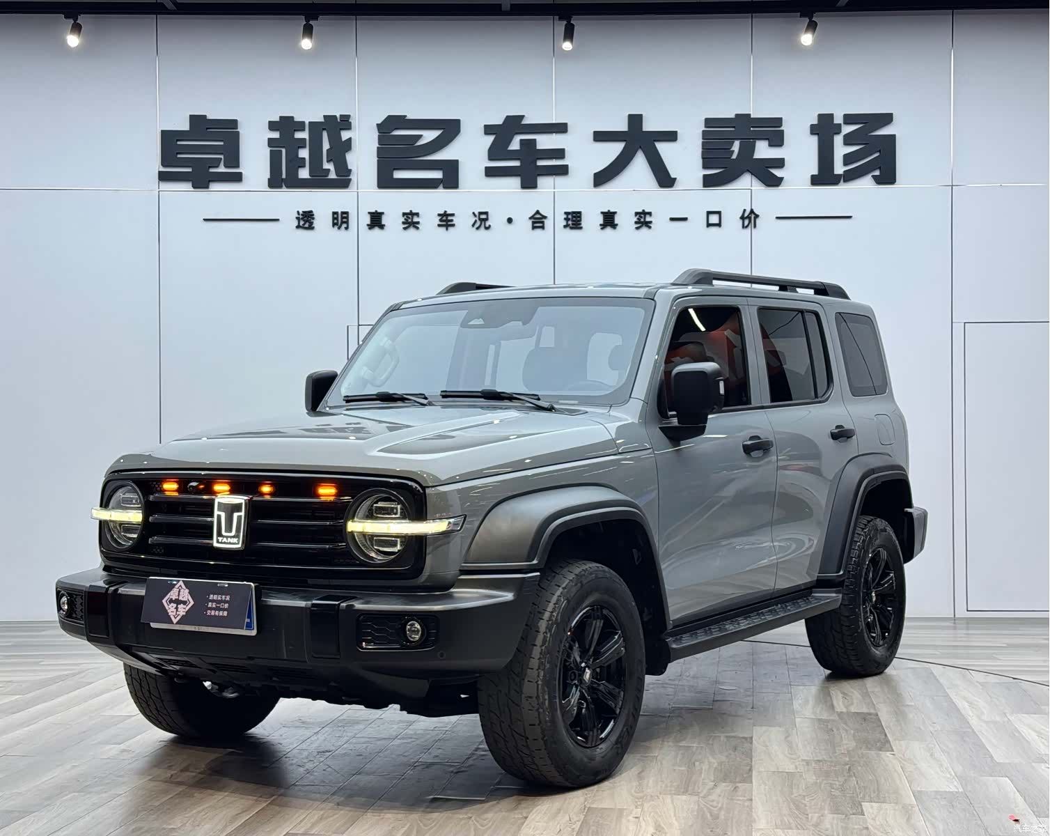 Tank 300