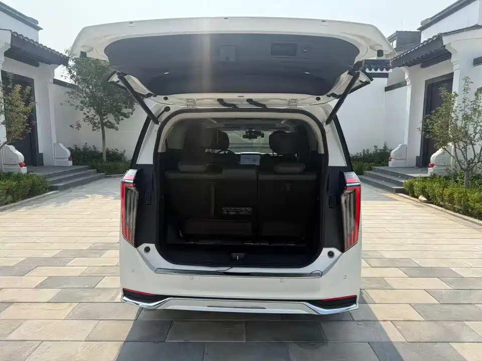 Trumpchi Trumpchi M8