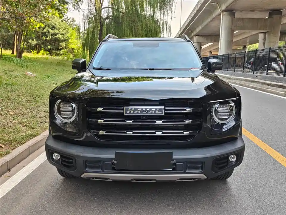 Haval Big dog Haval Big dog