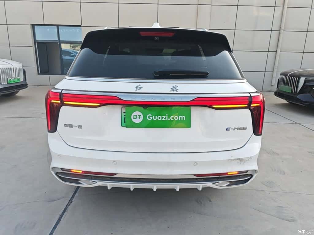 Hongqi E-HS9, 2023 6