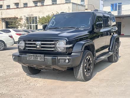 ȫ̹300Դ 2024 Hi4-T