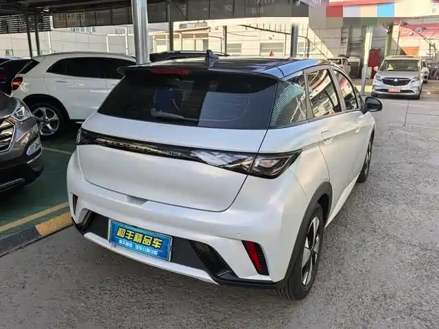 BYD dolphin
