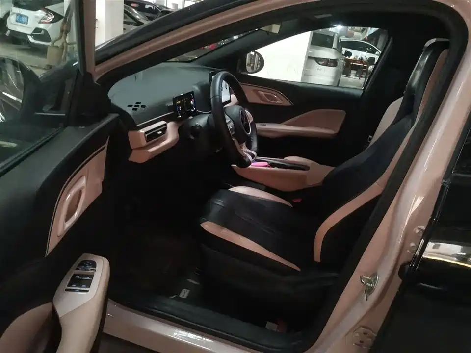 BYD Seagull