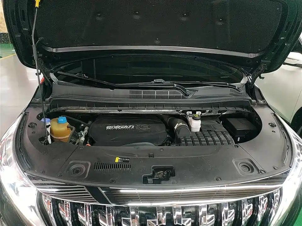 Trumpchi Trumpchi M8