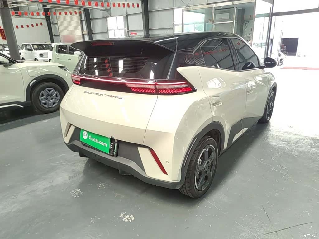 BYD Seagull, 2024 7
