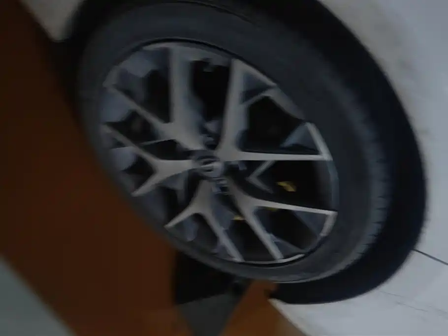 Trumpchi Shadow Leopard