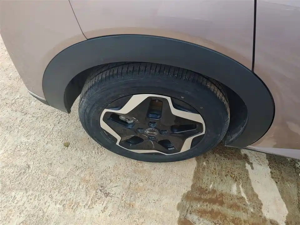 BYD dolphin