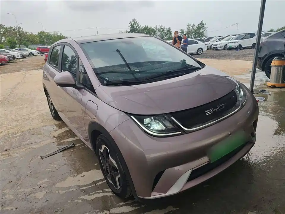 BYD dolphin