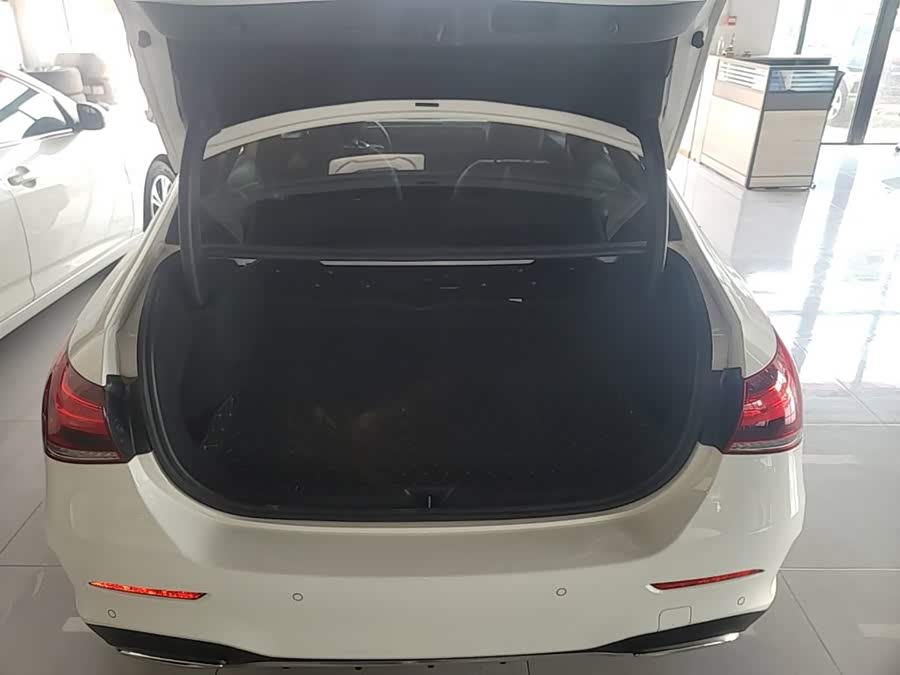 Mercedes-Benz A-Class 2021, фото 19