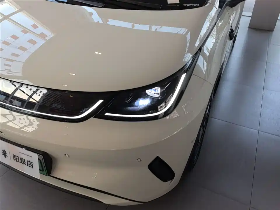 BYD dolphin
