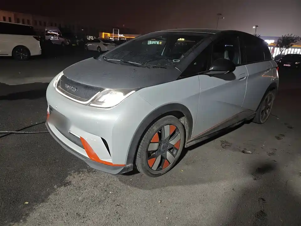 BYD dolphin
