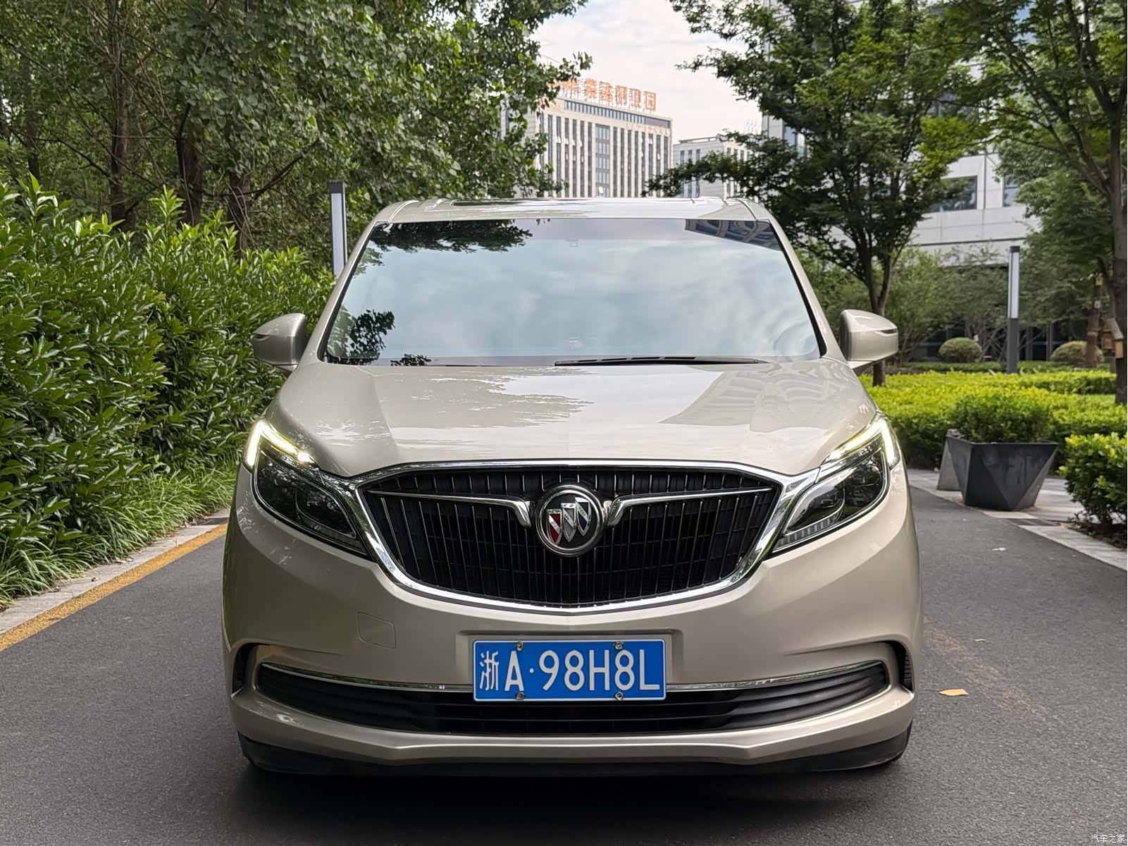 Buick GL8, 2019 все фото
