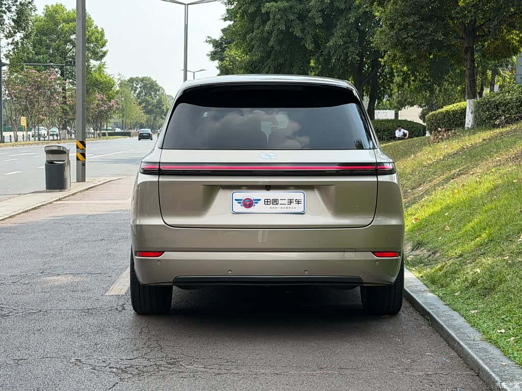 Li Auto L9, 2022 все фото