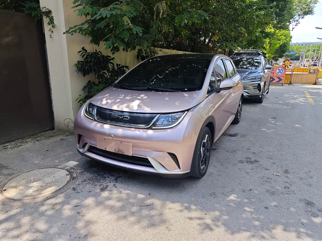 BYD Dolphin