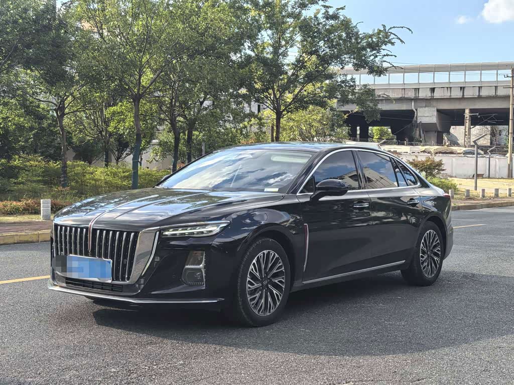 Hongqi H5 2024 2.0T AT