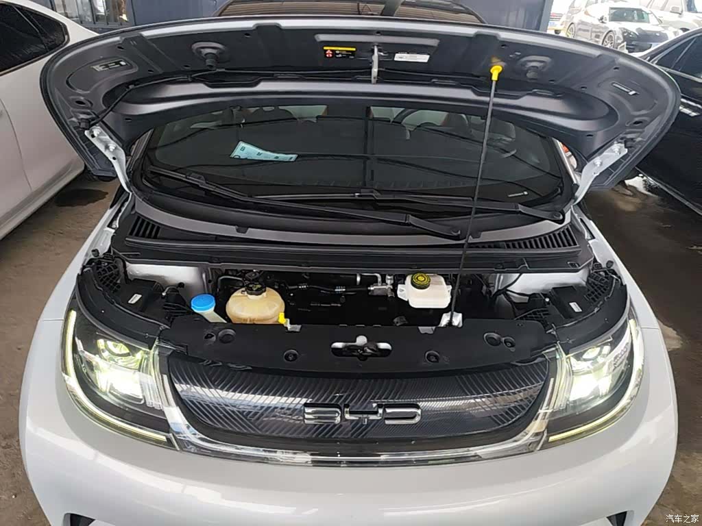 BYD Dolphin, 2021 20