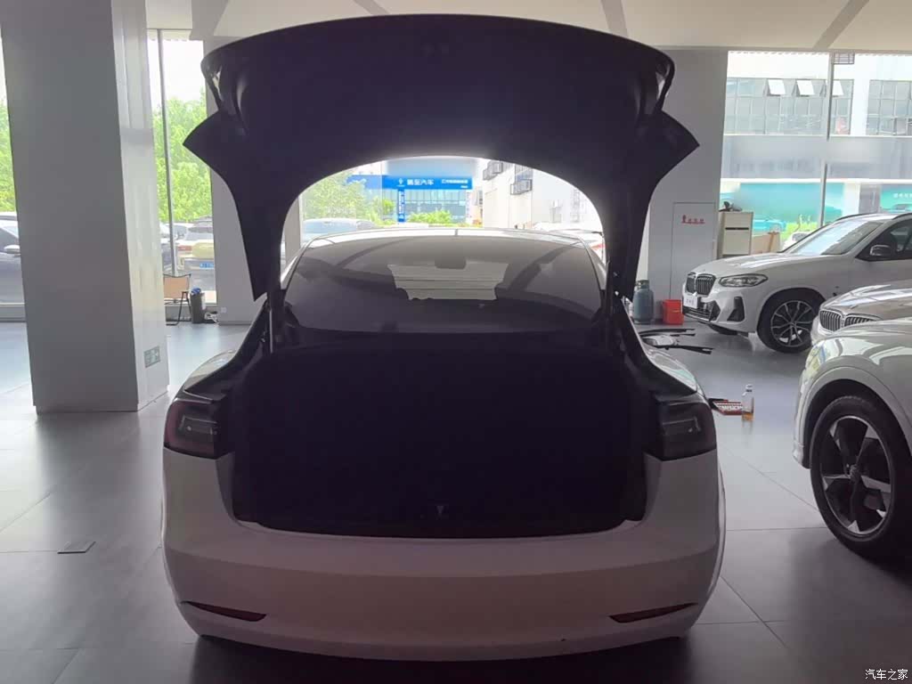 Tesla Model 3, 2021 19