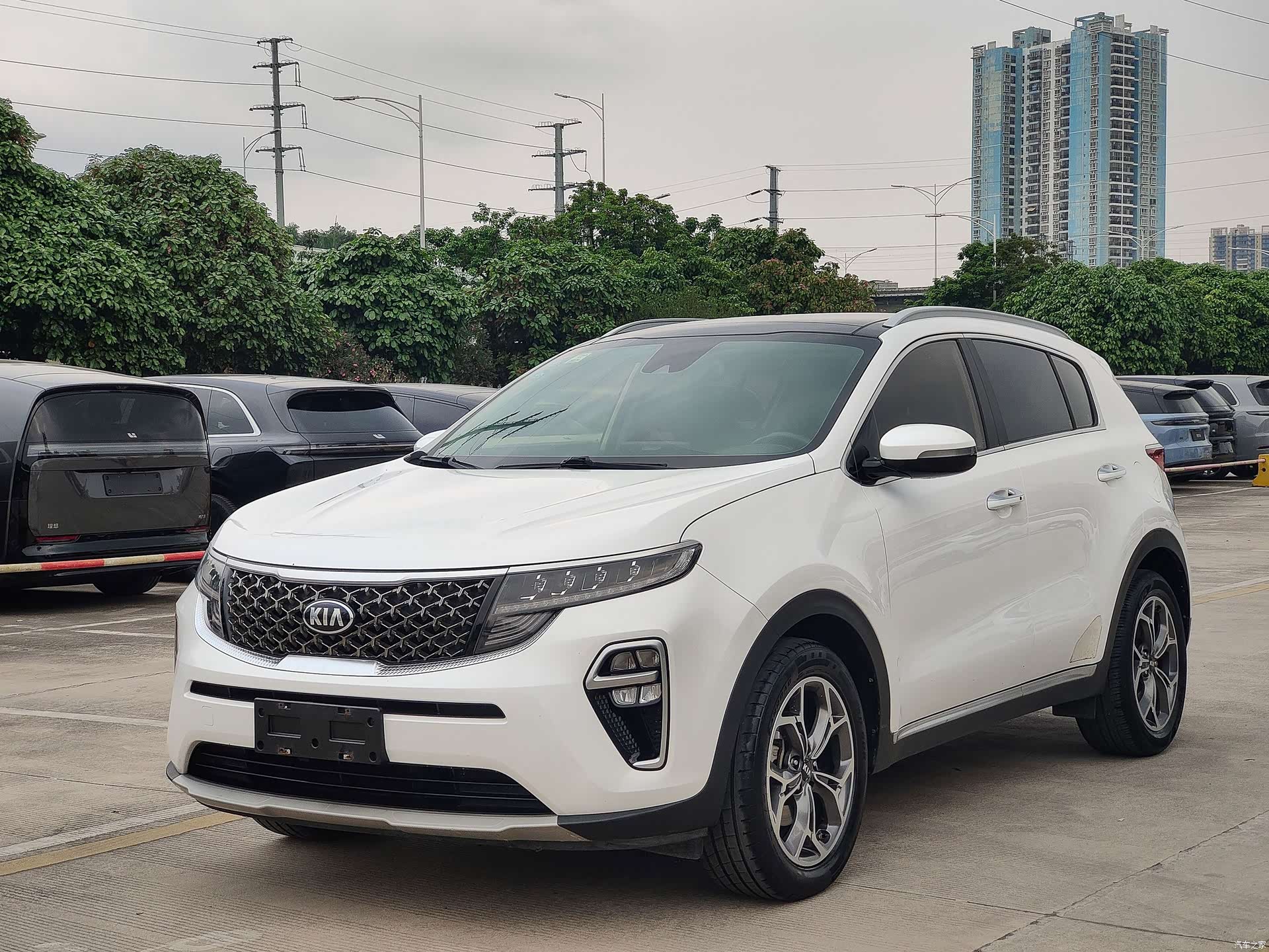 Kia KX5, 2020 1
