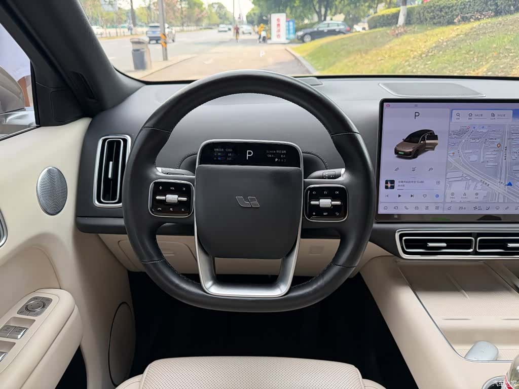Li Auto L9, 2022 14