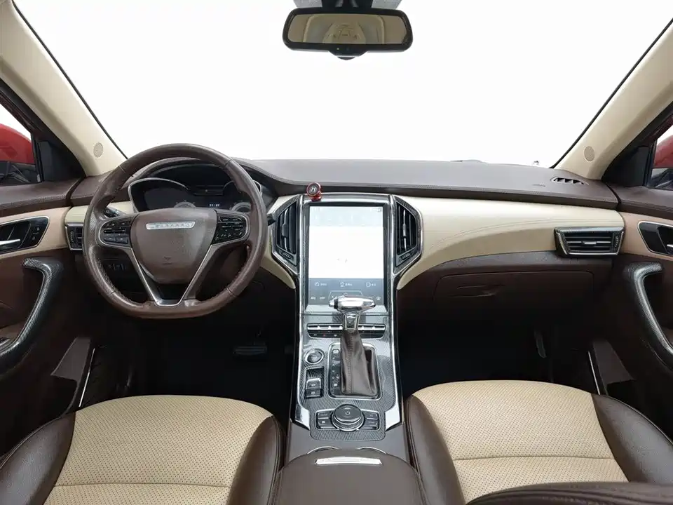 Leopaard Cheetah CS9