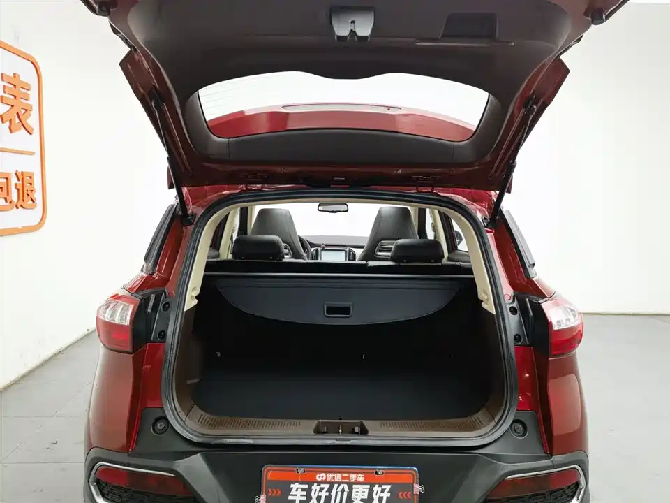 Leopaard Cheetah CS9