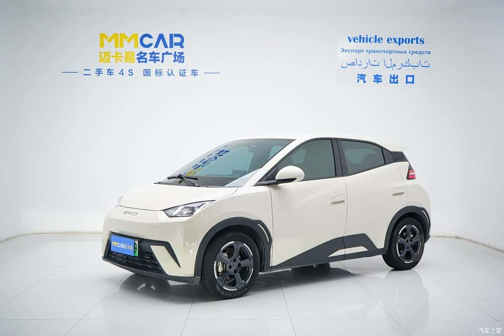 BYD Seagull, 2023 1