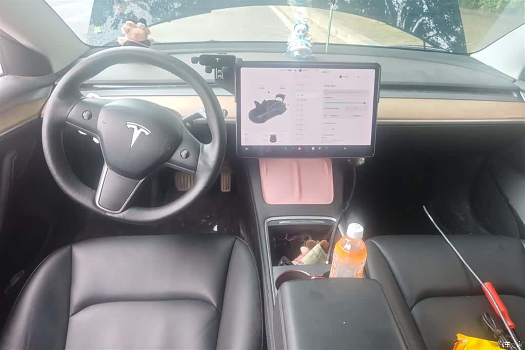 Tesla Model 3, 2021 12