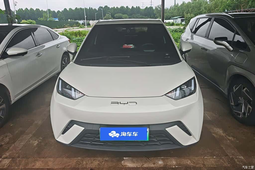BYD Seagull, 2024 2