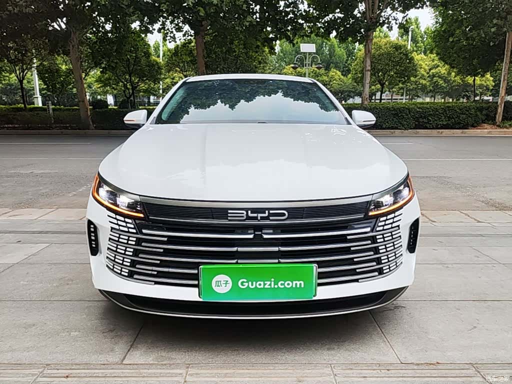 BYD Destroyer 05, 2024 3