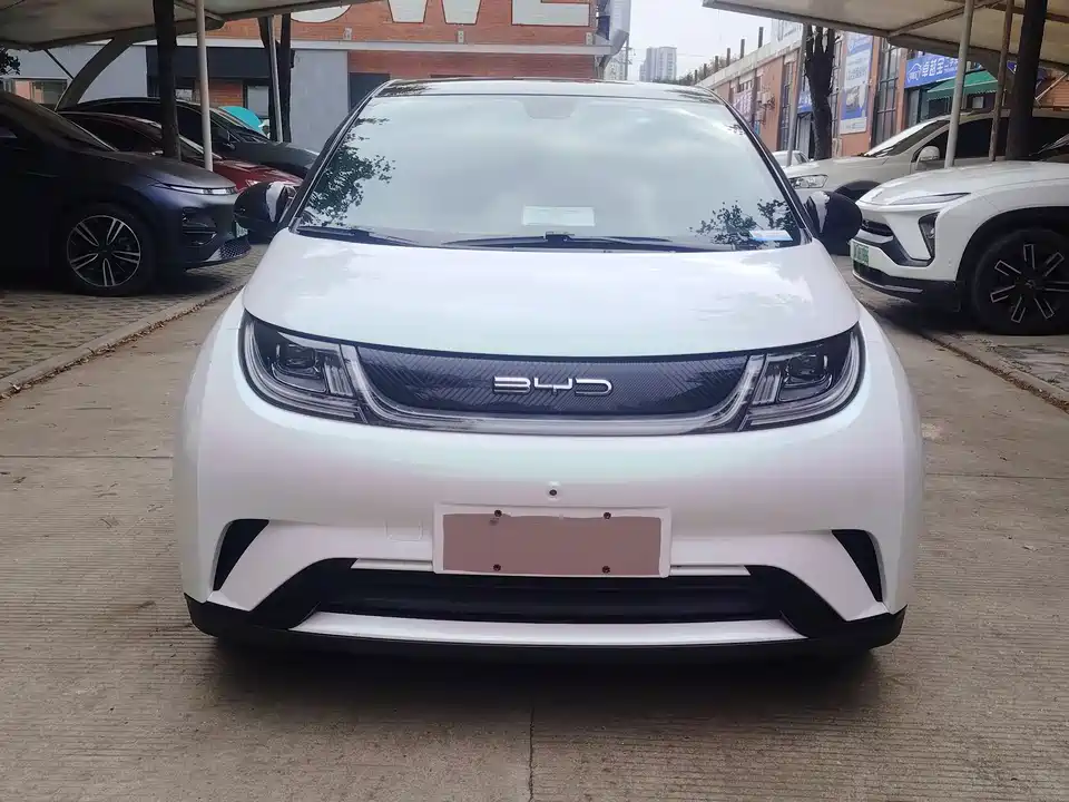 BYD dolphin