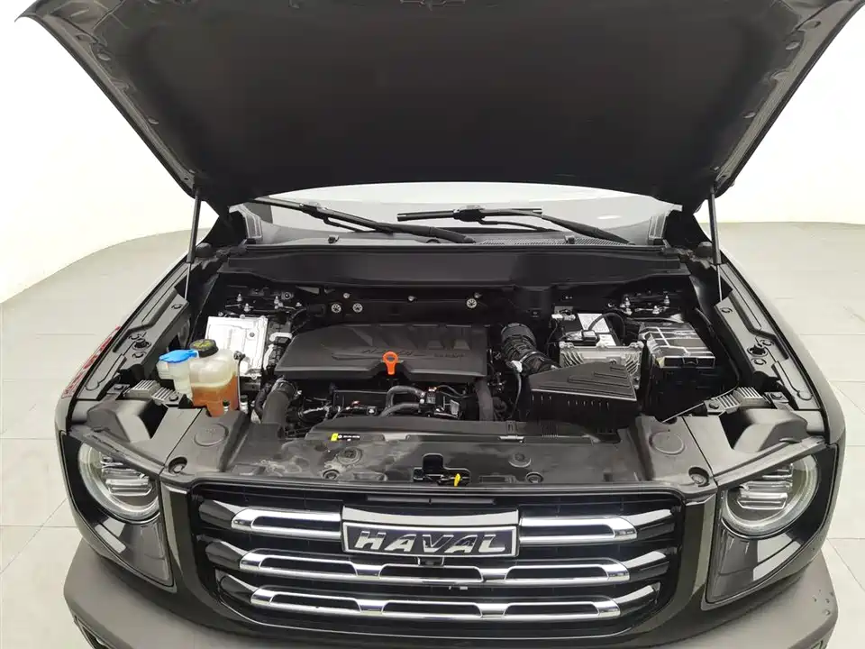 Haval Big dog