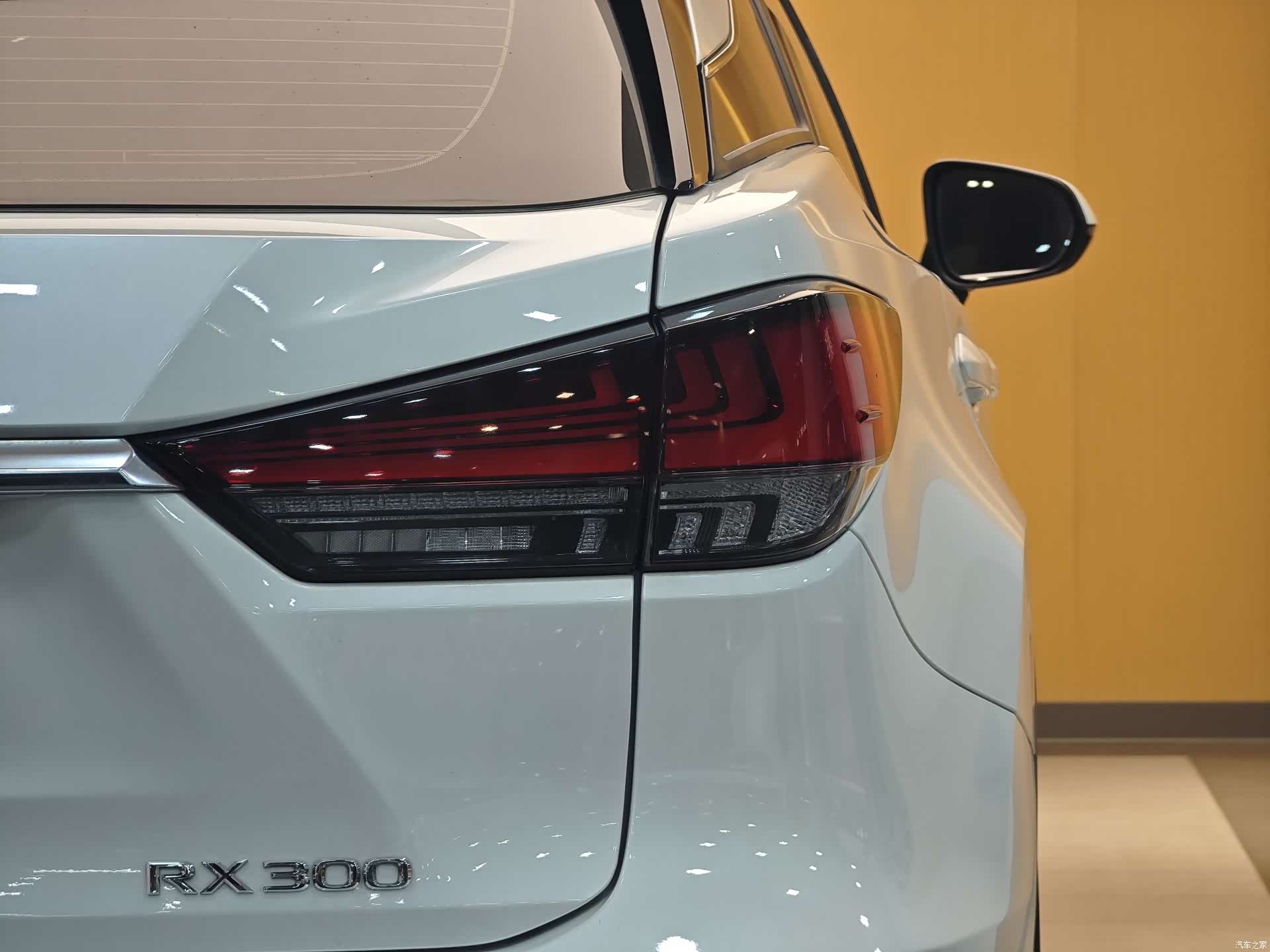 Lexus RX, 2022 30
