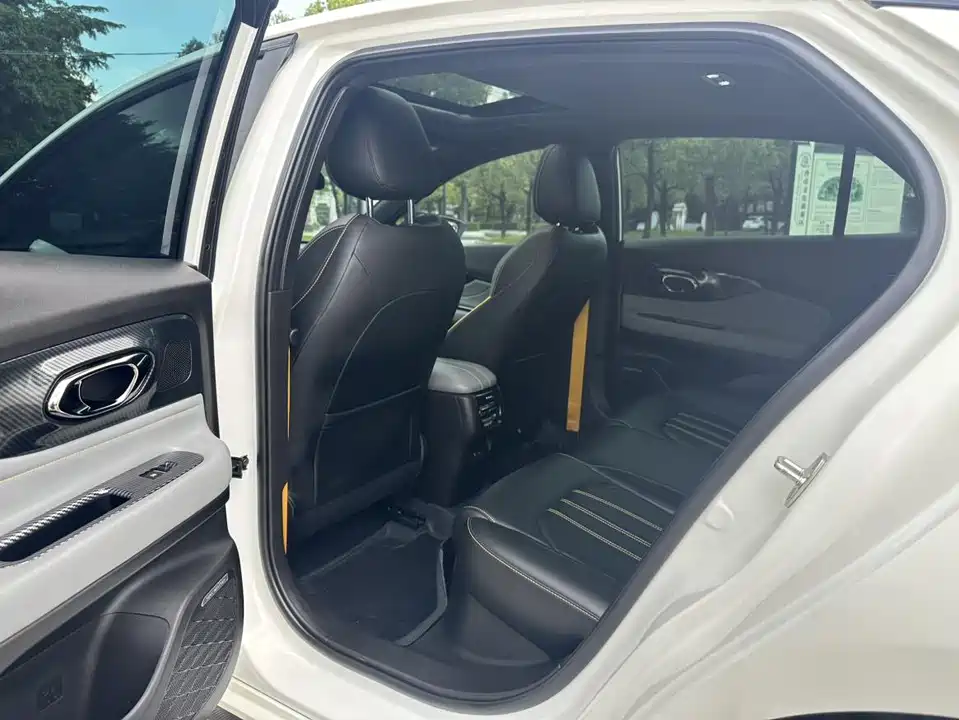 Trumpchi Shadow Leopard