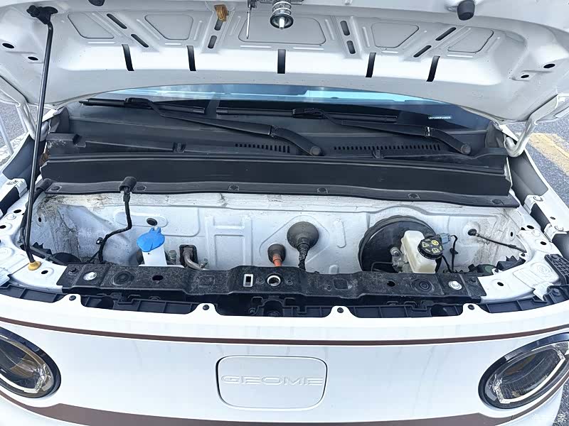 Geely Panda, 2023 6