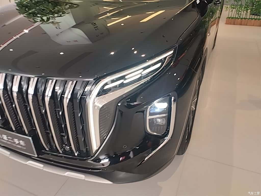 Hongqi HS7, 2024 24