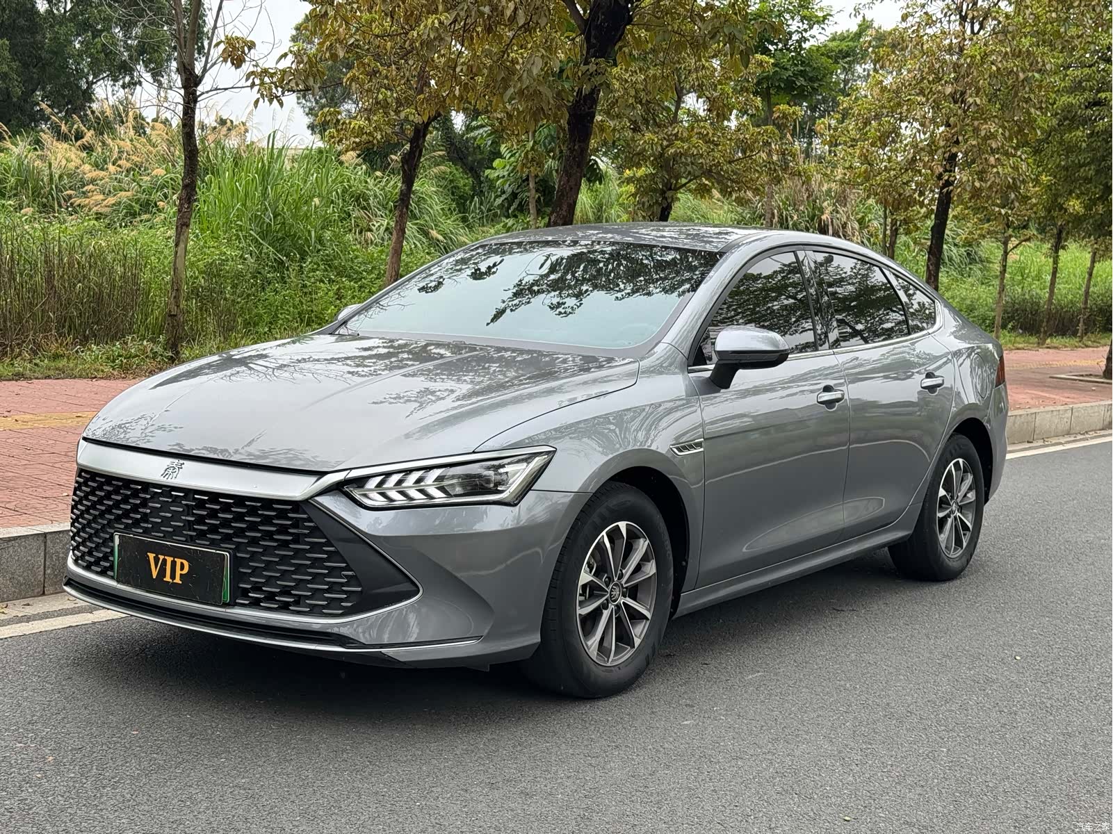 BYD Qin, 2024 2