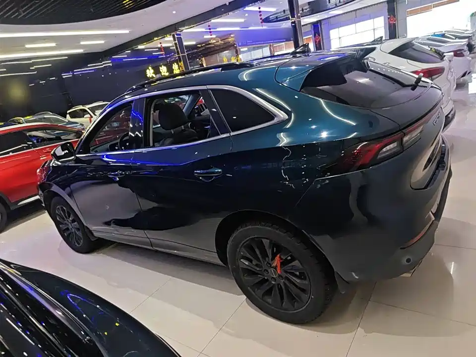 Forthing Popular T5 EVO