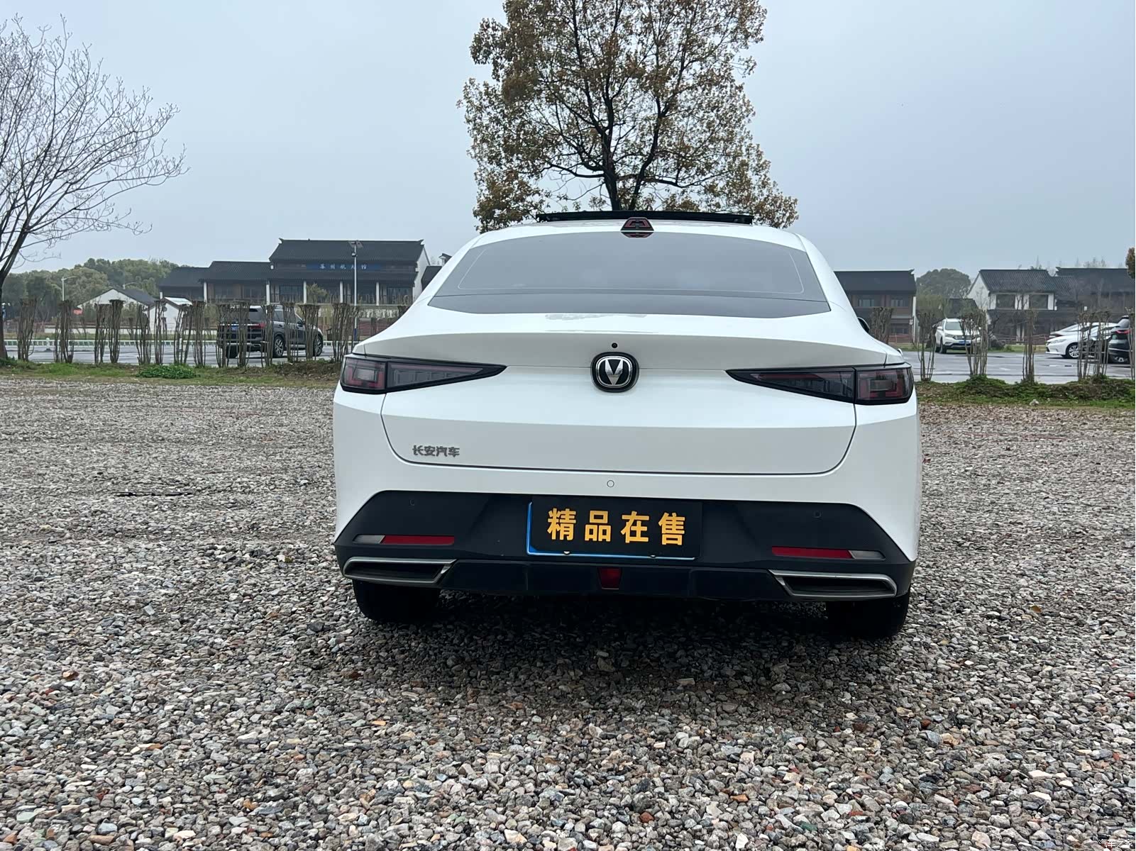 Changan Eado, 2024 все фото