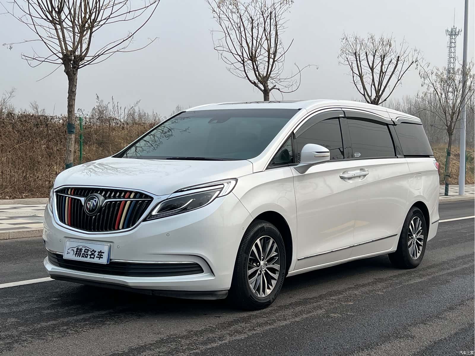 Buick GL8, 2019 1