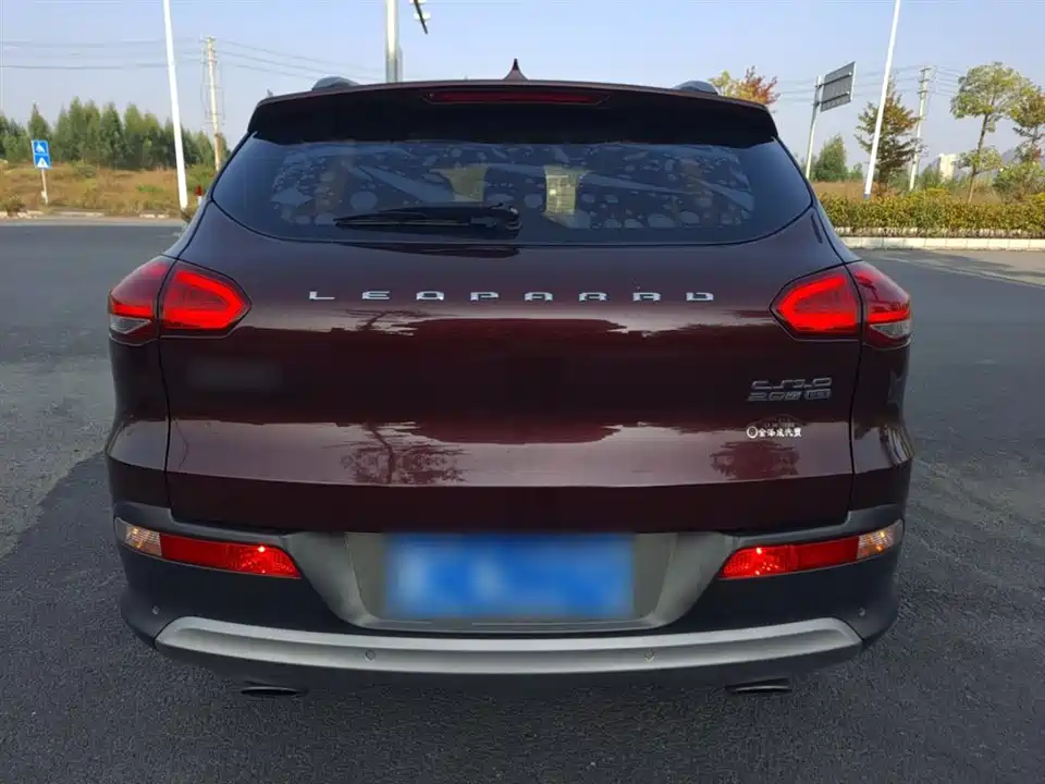 Leopaard Cheetah CS10