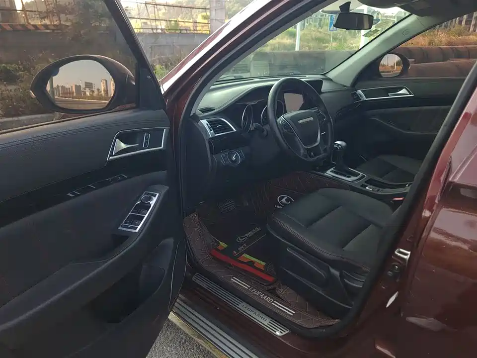 Leopaard Cheetah CS10