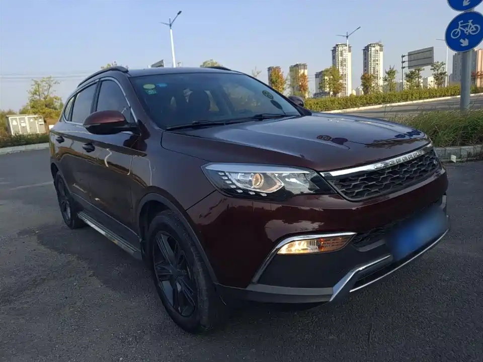 Leopaard Cheetah CS10