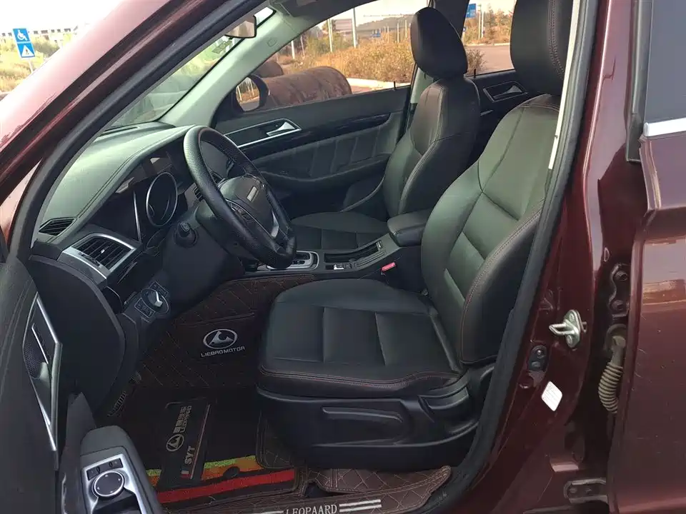 Leopaard Cheetah CS10