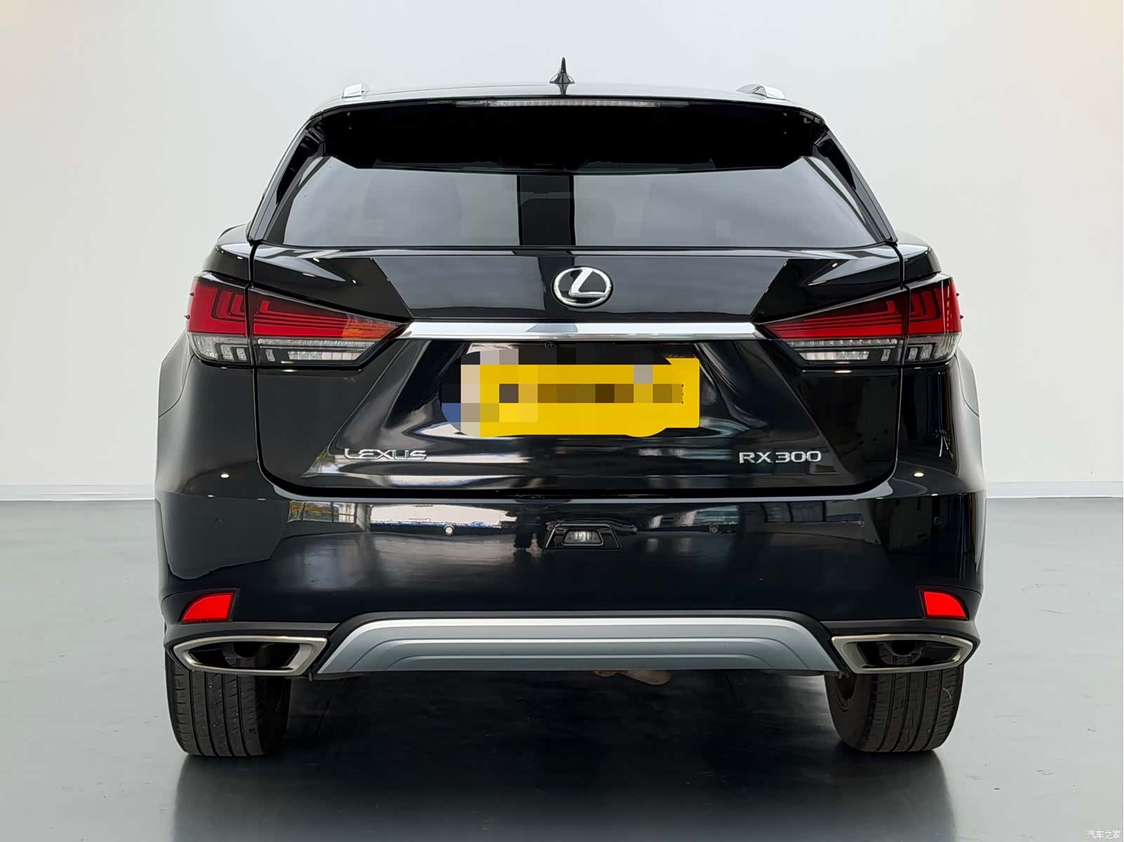 Lexus RX, 2022 все фото