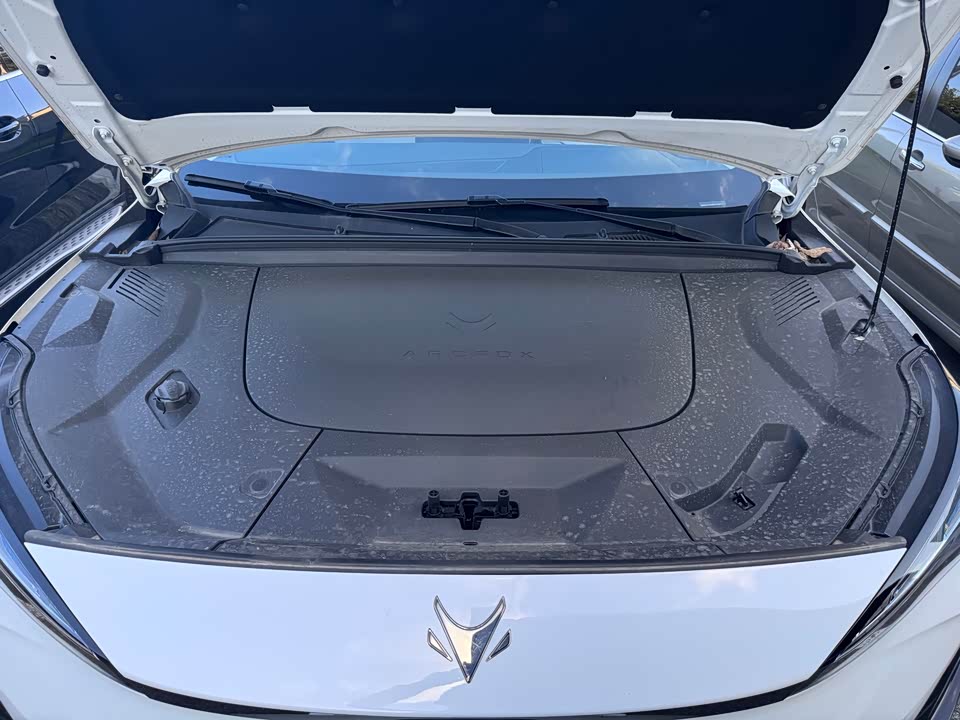 ARCFOX Polar Fox Alpha T5