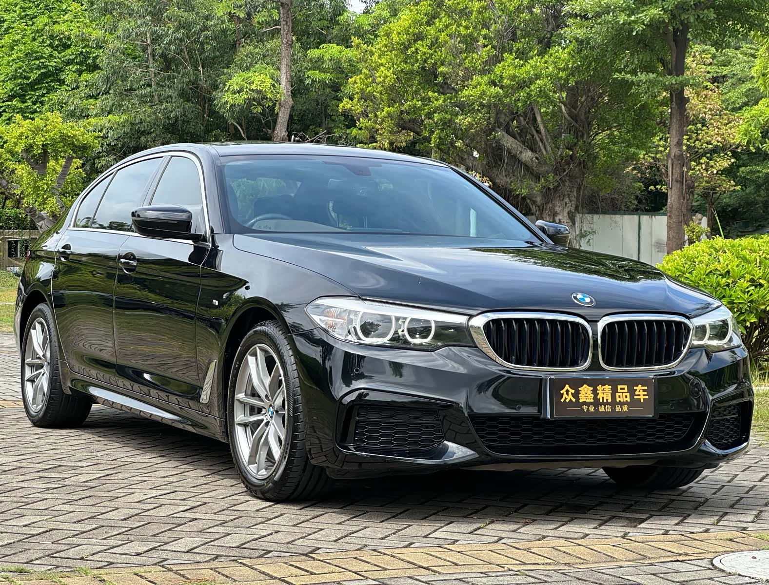 BMW 5 Series, 2020 3