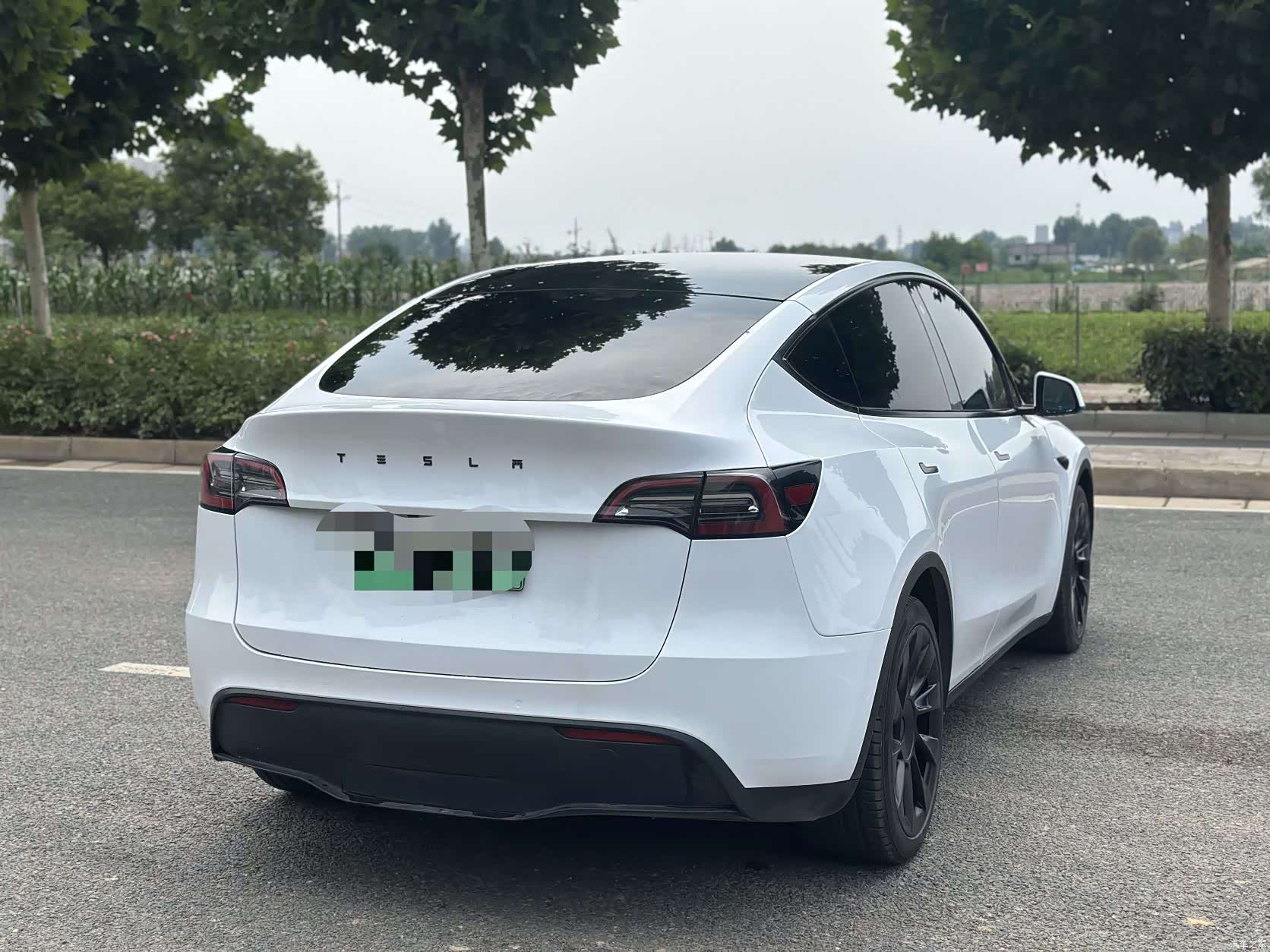 Tesla Model Y, 2021 все фото