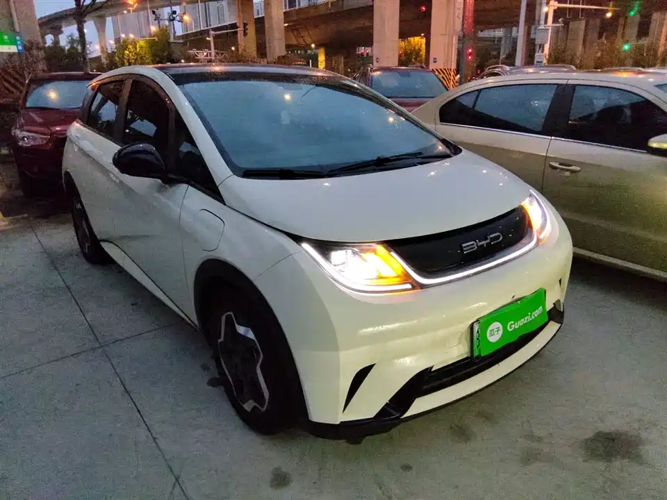 BYD dolphin