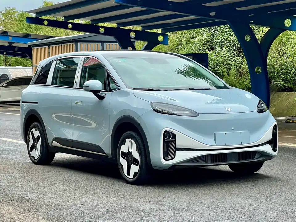 ARCFOX Polar Fox Koala S